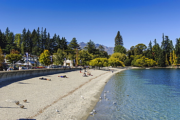 Gravel beach in Queenstown, Otago, South Island, New Zealand, Pacific