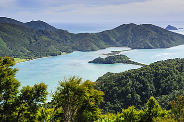 View over the Marlborough Sounds, South Island, New Zealand, Pacific 