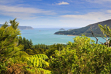 View over the Marlborough Sounds, South Island, New Zealand, Pacific 