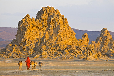 Bedouin bringing their donkeys home in the stunning landscape of Lac Abbe, Djibouti, Africa