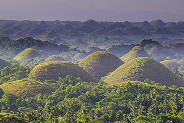 Chocolate Hills, Bohol, Philippines, Southeast Asia, Asia