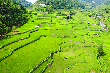 Hapao rice terraces, Banaue, UNESCO World Heritage Site, Luzon, Philippines, Southeast Asia, Asia