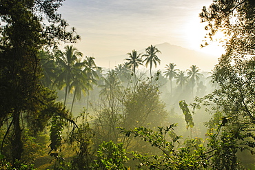 Early morning view of the countryside surrounding the temple complex of Borobodur, UNESCO World Heritage Site, Java, Indonesia, Southeast Asia, Asia