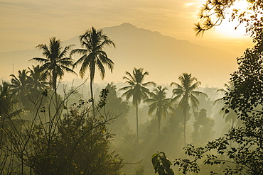 Early morning view of the countryside surrounding the temple complex of Borobodur, UNESCO World Heritage Site, Java, Indonesia, Southeast Asia, Asia