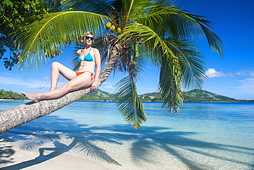 Woman relaxing on a palm tree on Nanuya Lailai island, the blue lagoon, Yasawas, Fiji, South Pacific, Pacific