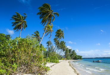 Palm fringed white sand beach on an islet of Vavau, Vavau Islands, Tonga, South Pacific, Pacific