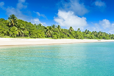 Palm fringed white sand beach in Haapai, Haapai Islands, Tonga, South Pacific, Pacific