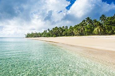 Palm fringed white sand beach in Haapai, Haapai Islands, Tonga, South Pacific, Pacific