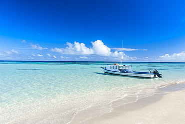 Little boat anchoring on a little islet in Haapai, Haapai Islands, Tonga, South Pacific, Pacific