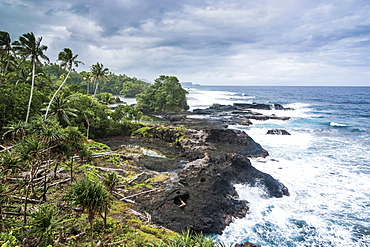 Wild rocky coast of Upolu, Samoa, South Pacific, Pacific