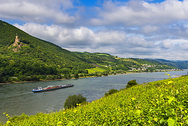 Cargo boat passing Castle Sooneck on the River Rhine, Niederheimbach. Upper Rhine Valley, UNESCO World Heritage Site, Hesse, Germany, Europe