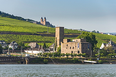 View over the Bruemserburg in Ruedesheim on the River Rhine, Rhine Gorge, UNESCO World Heritage Site, Hesse, Germany, Europe