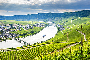 Cruise ship passing the riverbend at Minnheim, Moselle Valley, Rhineland-Palatinate, Germany, Europe