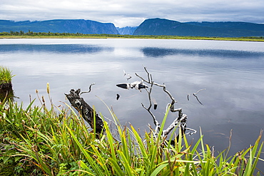 Jerrys pond in the Unesco world heritage sight, Gros Mourne National Park, Newfoundland, Canada