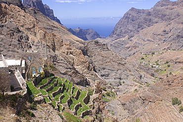 Mountain landscape of the island of San Antao with agricultural terraces, Cape Verde Islands, Africa