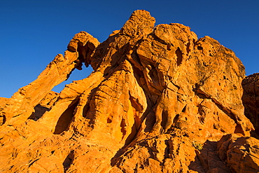 Redrock Sandstone formations at sunrise in the Valley of Fire State Park, Nevada, United States of America, North America