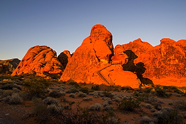 Redrock Sandstone formations at sunrise in the Valley of Fire State Park, Nevada, United States of America, North America