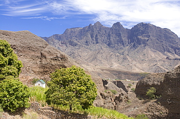 Rocks, vegetation, trees and a little house on island of San Antao, Cape Verde Islands, Africa