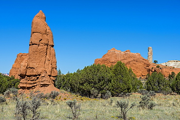 Sandstone chimneys in the Kodachrome Basin State Park, Utah, United States of America, North America