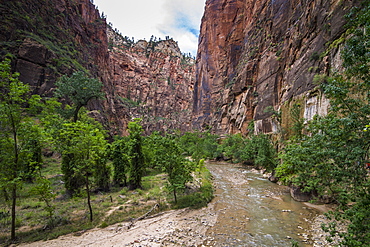 The towering cliffs of the Narrows in Zion National Park, Utah, United States of America, North America