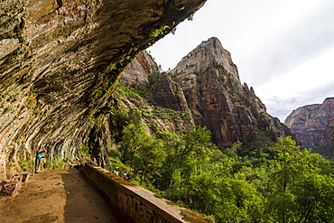 The Weeping Rock, a huge overlook in the Zion National Park, Utah, United States of America, North America