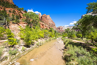 Virgin River flowing through the Zion National Park, Utah, United States of America, North America