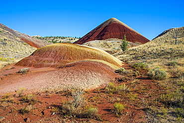 Multicoloured strata hill in the Painted Hills unit in the John Day Fossil Beds National Monument, Oregon, United States of America, North America