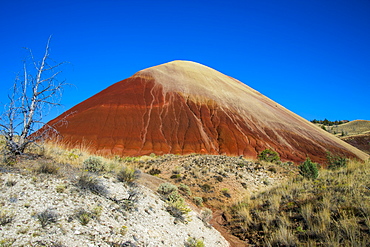 Multicoloured strata hill in the Painted Hills unit in the John Day Fossil Beds National Monument, Oregon, United States of America, North America