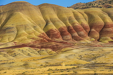 Multicoloured strata in the Painted Hills unit in the John Day Fossil Beds National Monument, Oregon, United States of America, North America