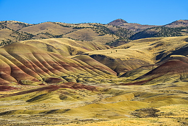 Multicoloured strata in the Painted Hills unit in the John Day Fossil Beds National Monument, Oregon, United States of America, North America