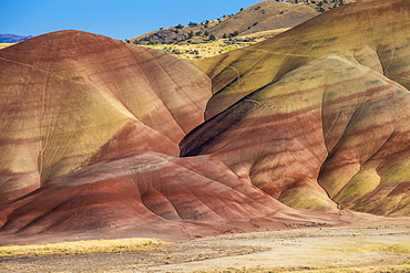 Multicoloured strata in the Painted Hills unit in the John Day Fossil Beds National Monument, Oregon, United States of America, North America