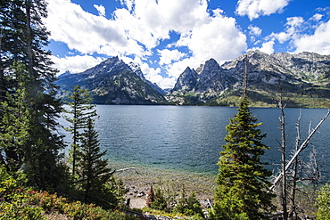 Jenny Lake in front of the Teton range in the Grand Teton National Park, Wyoming, United States of America, North America