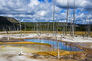 Opalescent pool in the Black Sand Basin, Yellowstone National Park, UNESCO World Heritage Site, Wyoming, United States of America, North America