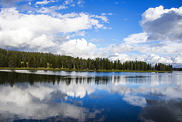 Clouds reflecting in the Yellowstone River, Yellowstone National Park, UNESCO World Heritage Site, Wyoming, United States of America, North America