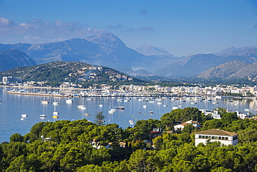 View over the bay of Port de Pollenca with many sailing boats, Mallorca, Balearic Islands, Spain, Mediterranean, Europe 