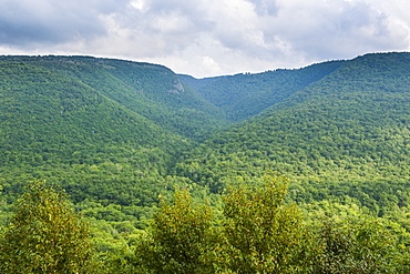 View over Cape Breton Highlands National Park, Cape Breton Island, Nova Scotia, Canada, North America 