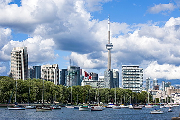 The skyline of Toronto, Ontario, Canada, North America 