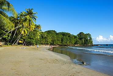 Bacolet Beach, Tobago, Trinidad and Tobago, West Indies, Caribbean, Central America