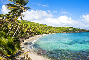 Sandy beach on Industry Bay, Bequia, The Grenadines, St. Vincent and the Grenadines, Windward Islands, West Indies, Caribbean, Central America