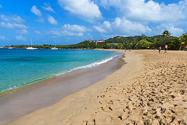 Sand beach of Salt Whistle Bay, Mayreau, The Grenadines, St. Vincent and the Grenadines, Windward Islands, West Indies, Caribbean, Central America