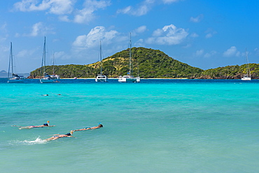 Tourists snorkeling in the turquoise waters of the Tobago Cays, The Grenadines, St. Vincent and the Grenadines, Windward Islands, West Indies, Caribbean, Central America