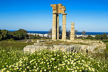 Temple of Apollo at the Acropolis, Rhodes, Dodecanese, Greek Islands, Greece, Europe