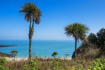 Belvoir Bay, Herm, Channel Islands, United Kingdom, Europe 