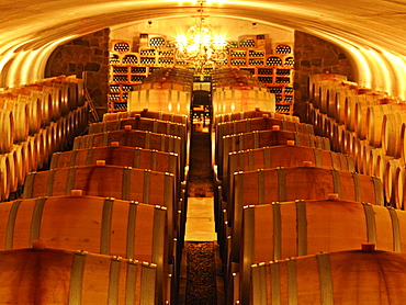 Wine barrels in cellar at Vineland Estates Winery, Vineland, Niagara Region, Ontario, Canada, North America