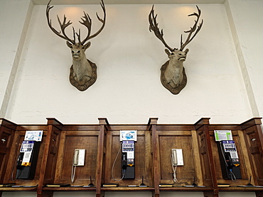 Phone booths with mounted elk heads on wall, Fairmont Chateau, Lake Louise, Banff National Park, Alberta, Canada, North America