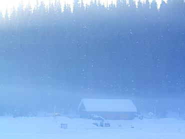 Snowfall and cabin early morning, Lake Louise, Banff National Park, Alberta, Canada, North America