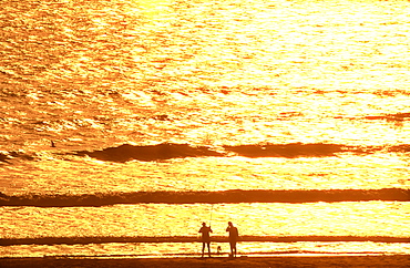 Two fisherman silhouetted against the ocean at sunrise with golden colors, Daytona Beach, Florida, United States of America, North America