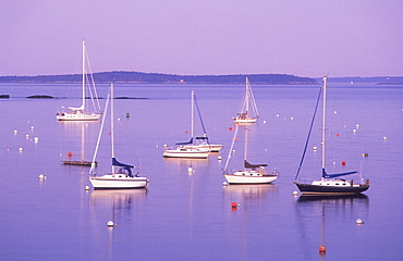 Sailboats moored in the bay at twilight, Penobscot Bay, Camden Harbour, Camden, Maine, New England, United States of America, North America