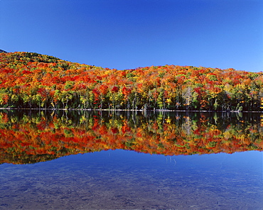 Reflection of autumn colors in lake, Heart Lake, Adirondack State Park, New York State, United States of America, North America