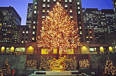 Christmas tree and Statue of Prometheus, Rockefeller Center, New York City, New York, United States of America, North America